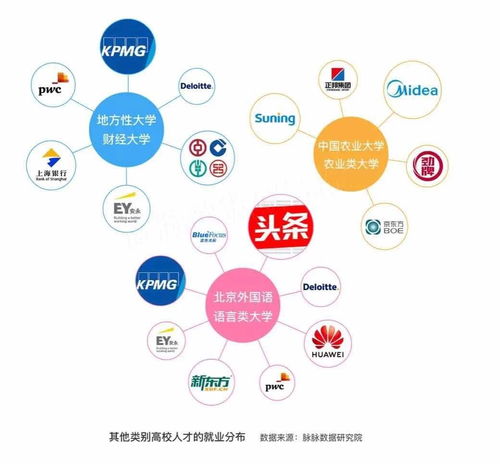 数据洪流中的抉择 今日头条如何成为中国互联网职场的新磁极